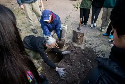 ¿Qué especies plantaron en una escuela de Paraná y qué función clave cumplen ante las lluvias?