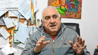 La miel patagónica que conquistó Japón: la odisea de una familia de General Roca para exportar al mercado más exigente