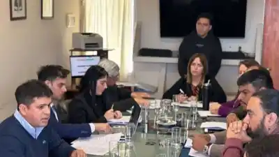 Reforma de CAMYEN: la oposición exige más controles y un blindaje para los recursos mineros
