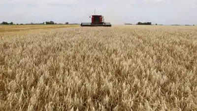 El proyecto que podría disparar el precio de la tierra y entregar el agro a extranjeros