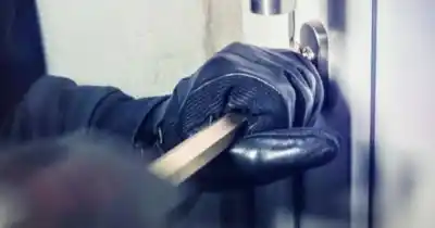 Entraron por un ventiluz y dejaron un rastro imborrable: el insólito hallazgo en una escuela de Romero