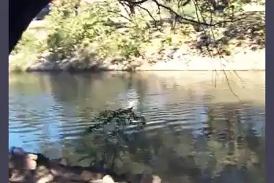 Un bebé cayó a un canal y la correntada lo arrastró: los desesperados intentos por salvarle la vida
