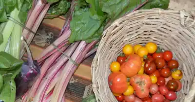 La Feria Agroecológica Itinerante desembarca en la República de los Niños: ¿Qué habrá?