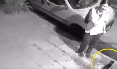 El robagatos del AMBA: la escalofriante cifra de felinos desaparecidos y el video que lo incrimina