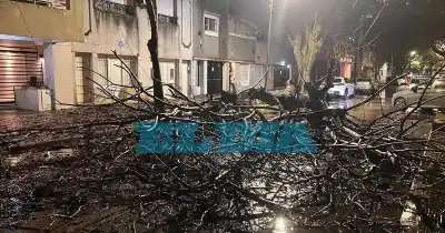 La noche en que La Plata se quedó a oscuras: cortes, agua y árboles que no dieron tregua