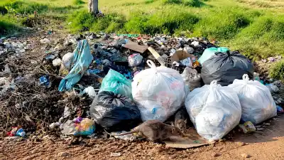 Vecinos de Posadas denuncian que hace meses no reciben veneno para ratas y temen una plaga