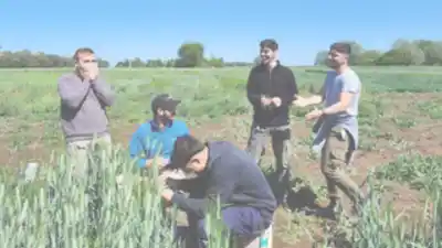 Capacitación gratuita en agronomía: qué se podrá aprender en la UNLPam