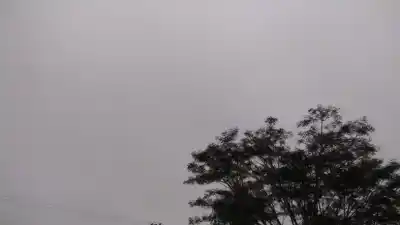 El cambio de tiempo que sacude a Misiones: calor, viento y tormentas en el inicio de agosto