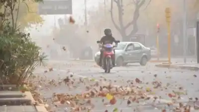 Alerta en Neuquén: el viento y el frío no dan tregua este fin de semana