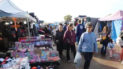 Vuelve la feria con precios que sorprenden: 80 puestos y ofertas que no podrás creer