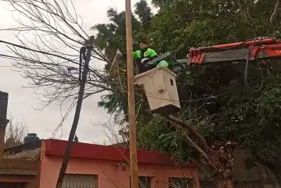 Tormenta en Rosario: ráfagas de 75 km/h y 50 mm de lluvia dejaron 86 reclamos y un incendio
