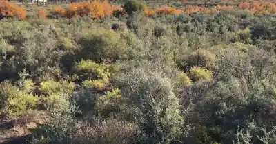 El Trapal se prepara para honrar a la Pachamama con una ceremonia ancestral