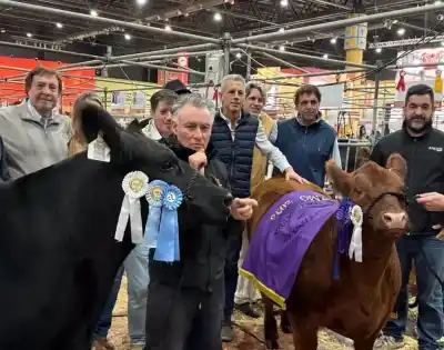 El batacazo rionegrino en Palermo que dejó a todos boquiabiertos: dos cabañas, dos finales y múltiples premios