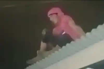 Se subió a un techo para robar limones y se negó a bajar: el video que expone el insólito episodio