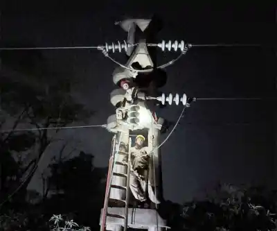 Cortó un árbol y dejó sin luz a Andresito: el operativo contrarreloj que devolvió el servicio