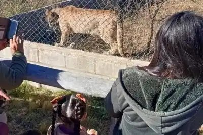 Naturaleza, fauna y conservación: así es el refugio escondido junto al dique La Florida
