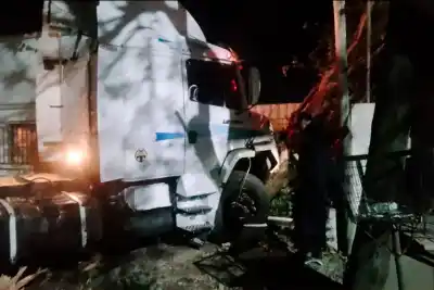 El árbol que salvó una casa: un camionero alcoholizado protagonizó un tremendo siniestro en Chajarí