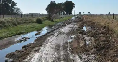 ¿Productores a cargo de los caminos rurales? La dura advertencia de los ingenieros bonaerenses