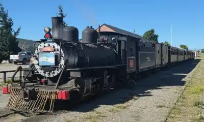 El tren que desafía la nieve: la Trochita no para y ya piensa en los tulipanes