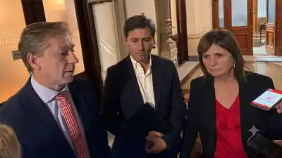 La UCR en pie de guerra contra Milei: presión total a sus senadores para tumbar la reforma de la Ley de Tierras