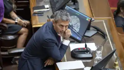 Menem convoca a los bloques aliados: la jugada de Milei para destrabar sus reformas en Diputados