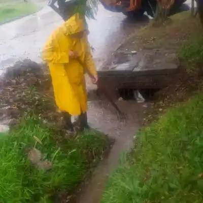 Temporal en Resistencia: 38 mm de lluvia y ráfagas que derribaron árboles y techos, pero sin anegamientos