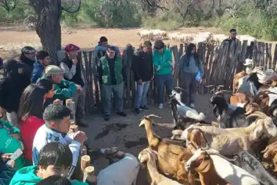 Añatuya se prepara para recibir a los referentes de la ganadería caprina del NOA