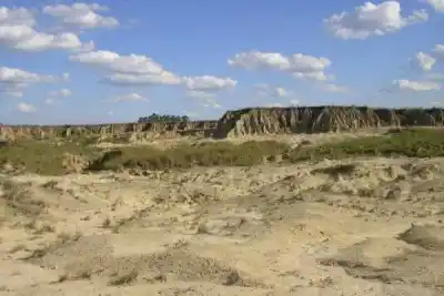 Hallazgo sin precedentes en Corrientes: un ñandú fósil de 65 mil años que sorprende a la ciencia