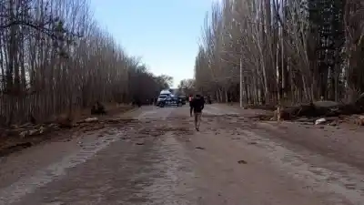Un árbol gigante aplastó un vehículo en la ruta 143: dos muertos y un herido grave