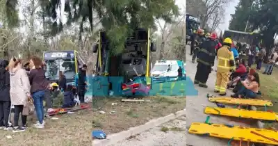 Un micro se incrustó contra un árbol en Berisso: hay al menos 23 heridos
