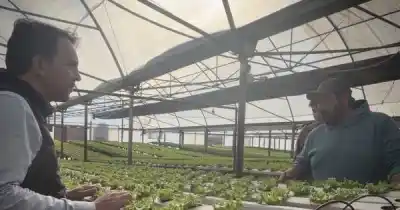 Tadeo García Zalazar visitó un emprendimiento que produce alimentos sin tierra todo el año
