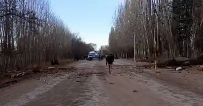 Tragedia en San Carlos: un árbol gigante aplastó una camioneta y hay dos muertos