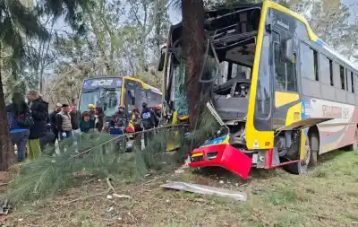 Impactante video: el choque del micro de la Línea 202 que terminó contra un árbol y dejó más de 20 heridos en Berisso