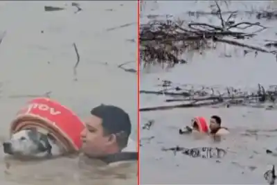 Se tiró al agua para salvar a un perro atrapado en el río y el momento quedó filmado
