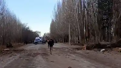 Tragedia en San Carlos: un árbol cayó sobre una camioneta y dejó dos muertos en la Ruta 143
