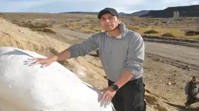 Un vecino de Mariano Moreno encontró un caparazón de más de un millón de años y Neuquén ya tiene su primer gliptodonte completo