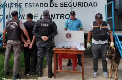 Un colchón, un perro y una carga de marihuana: el hallazgo que detuvo a un jujeño tras pasar por Tucumán