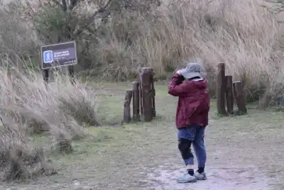 Acuerdos clave para el turismo en Iberá: ¿qué medidas se tomarán en plena temporada alta?