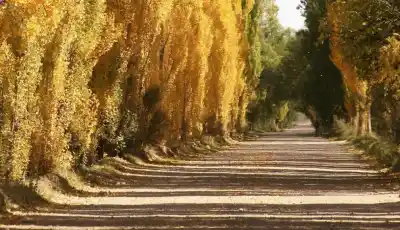 El domingo que despidió el frío: cómo estará el tiempo en Roca