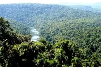 El jueves, Misiones define su postura ante la venta de tierras a extranjeros