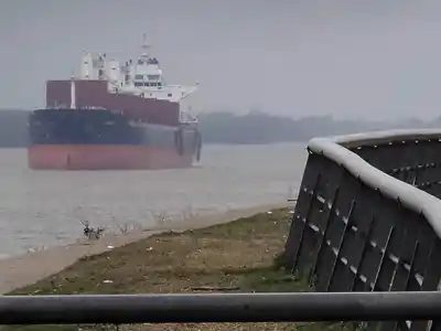 Rosario: el domingo arrancó fresco y la semana promete tardes templadas