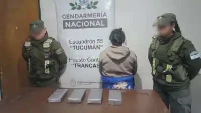Ocultó droga en valijas con doble fondo y casi escapa: el dato que la delató