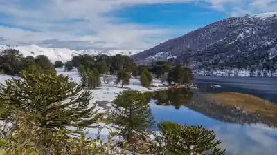 Cambio clave en la Ley de Tierras: Neuquén conserva el control de su territorio