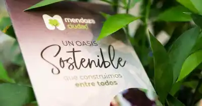Jóvenes de Mendoza: el taller que puede convertir sus ideas verdes en $7.150.000