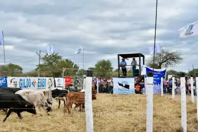 La feria que transforma vidas: el programa que impulsa a más de 55 familias rurales en Formosa