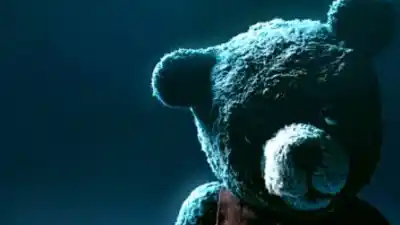 El tierno peluche que salió de Jujuy escondía un secreto que dejó helados a los gendarmes