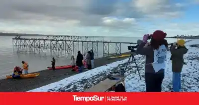 El ave que une a Santa Cruz: así se celebra el Mes del Macá Tobiano
