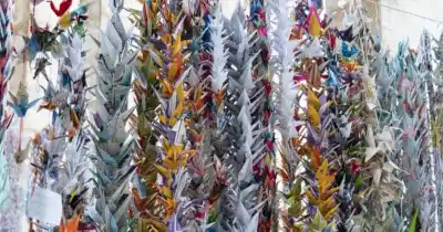 El ritual japonés que vuelve a Rosario: miles de grullas por la paz