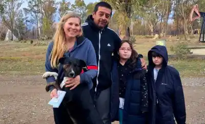 El refugio de Rawson busca hogares para 30 perros rescatados: ¿te sumás a la adopción?
