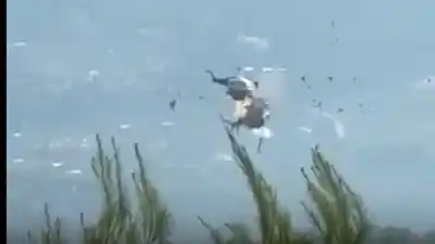 Trágico choque de helicópteros en Grecia: dos muertos y un país en alerta máxima